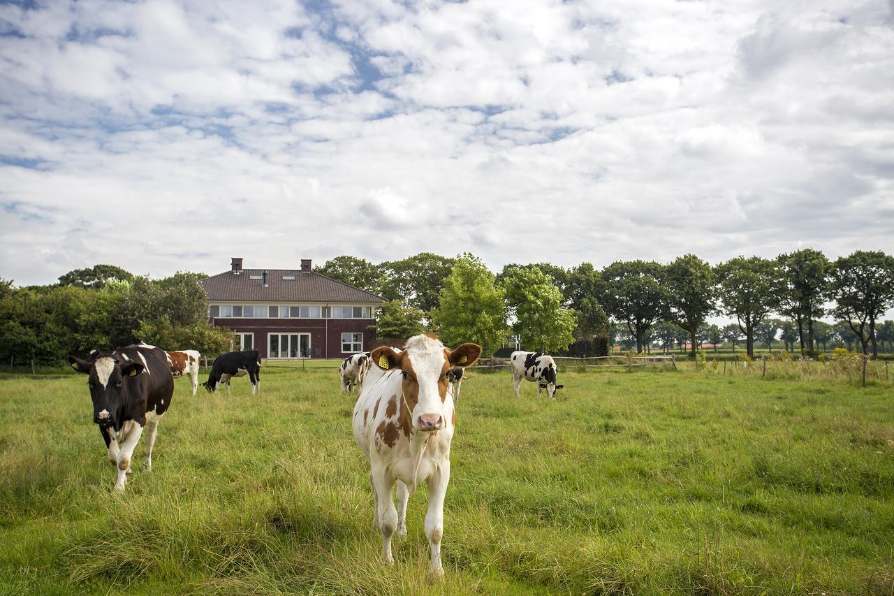 Villa Het Bascour Holthees Exterior foto